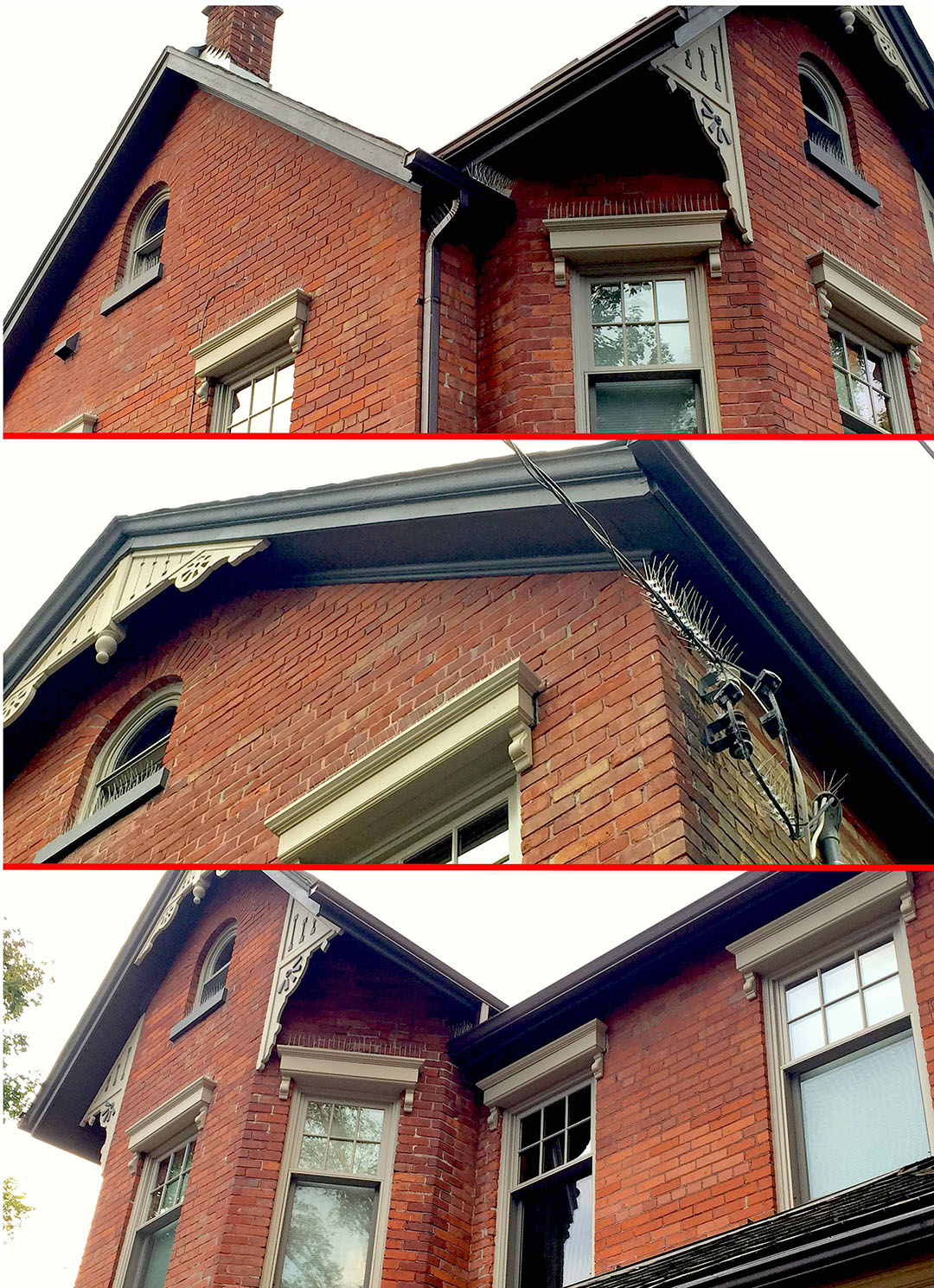Pigeon removal - deterrents installed on a residential home.